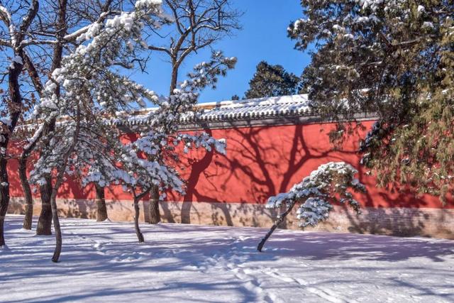 来昌平赏雪的含金量还在上升！