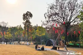 儿童公园“友好”升级 成春节遛娃好去处图片