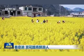 春暖花开正娇艳 赏花踏青胜地等你来打卡图片