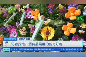 甘蔗积木、防水防污的纸茶几…进博会有哪些新奇好物？记者探展→图片