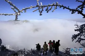 小寒到，江西人吃什么御寒？图片