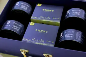 大凉山送来“云端好羊”，布拖黑绵羊亮相农博会图片