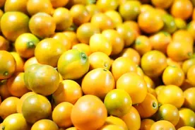 解码拼多多“新质供给”：产业带高质量转型的新电商实验图片