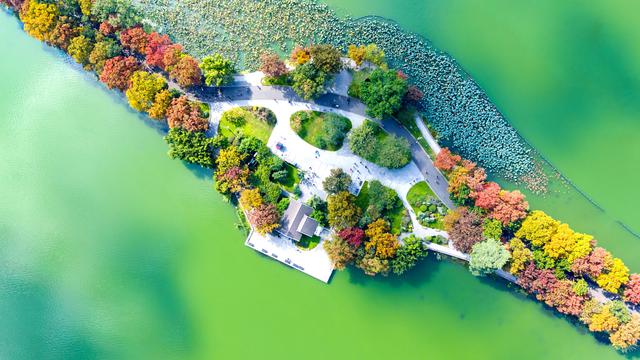 秋声渐杳 斑斓成诗#