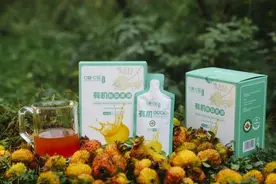 从 “山野刺梨” 到 “爆款担当”：远方好物匠心赋能 撬动地方产业崛起福泽百姓生活图片