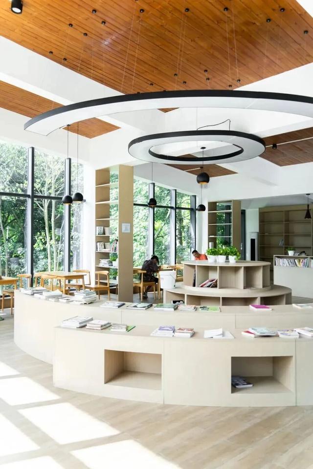 三大世界冠军助阵！直击2025梧桐山登高赛！