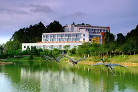 重磅！广东新增一所高校，就在深圳龙岗！图片