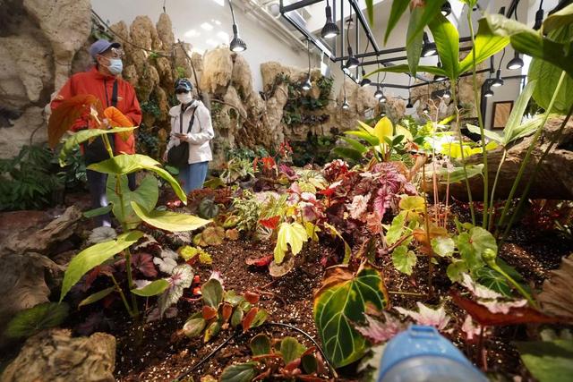 赏花看展淘文创！国家植物园邀您共享“一站式”春日快乐