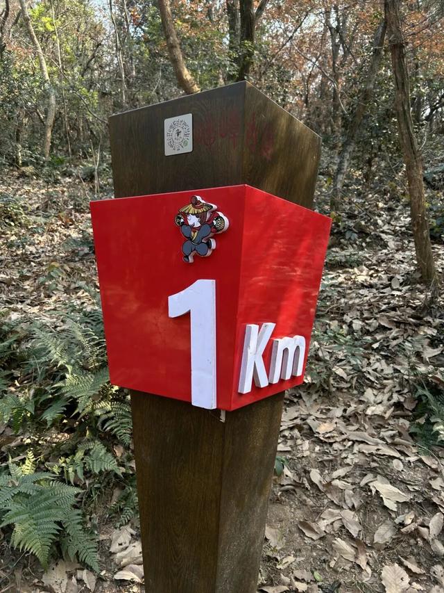 太火爆！无锡人最近都在…