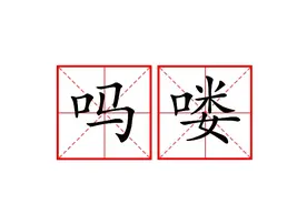 观观有梗丨吗喽图片