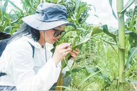 实力圈粉！外国人眼中的中国乡村生活是这样→图片