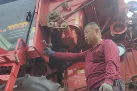 全国麦收进度已近两成，收割机手：农民们丰收，但我们并不赚钱图片