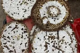 蜂子泡酒、水腌菜拌蜂蛹……保山蜂宴来喽图片