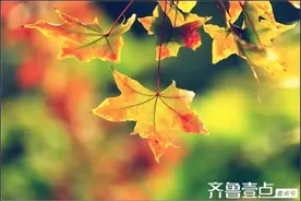 人生若只如初见何事秋风悲画扇图片