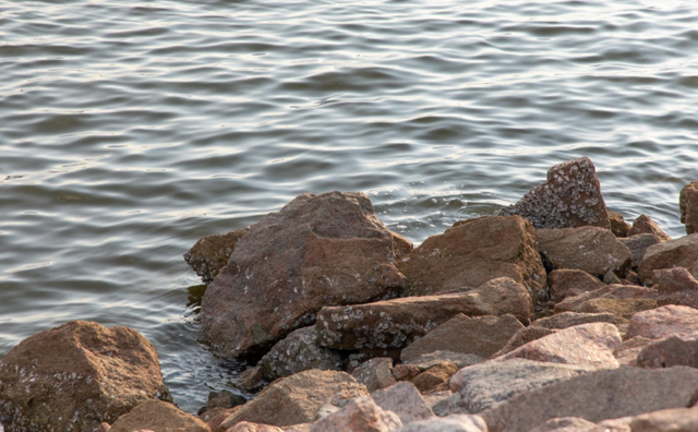 先锋在行动｜守护“一湾碧水” 让市民游玩体验更清新、更“出片”