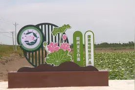 全省首批“一村一品”示范村镇！新洲这里上榜图片