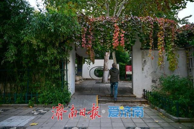 一年四季 泉在济南丨秋染中山公园：一园金色载满城市记忆