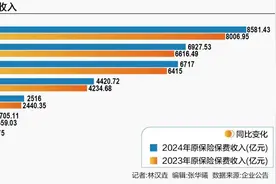 2024上市险企保费大比拼 平安拔头筹 众安增速领跑图片