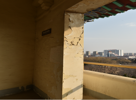 焕新归来！沂水东皋公园：四季有景夜有光 古塔生辉美出圈