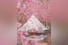 这些露营好去处，带你走进江西的春天图片