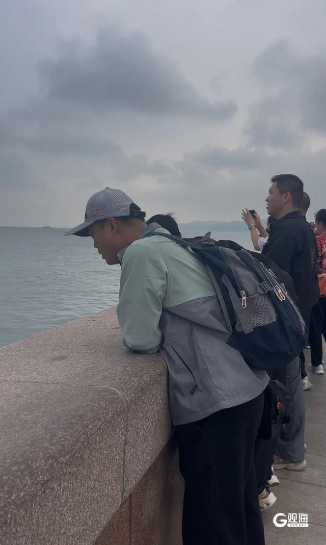 就在青岛栈桥，一大群鱼“开会”了！最小的也有30厘米长，市民游客伸着头围观：以前真没见过