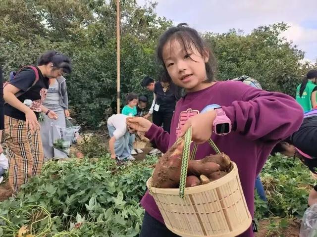 青岛赏秋去哪里？这几个地方别错过！
