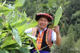 湖南省蓝山县：粽叶熟了  瑶民笑了图片