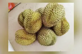 小丽逛菜场｜榴莲季，你买到便宜的榴莲了吗？图片