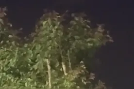 新疆多地现不明飞行物，目击者称和月亮一样亮，几秒内突然加速消失，气象部门回应图片