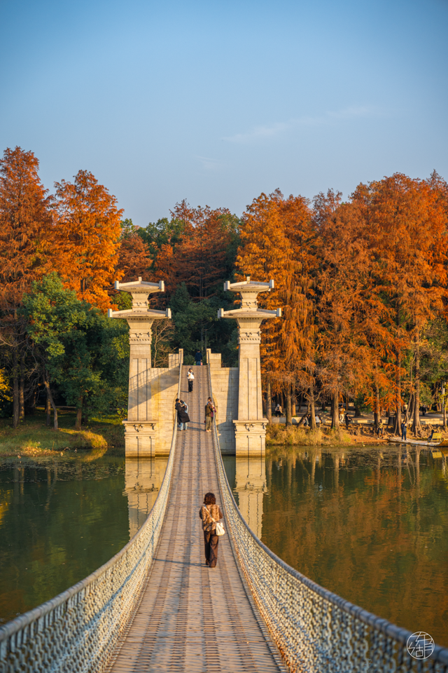 东湖冬日必打卡！观「雪」景、赏秋色、追落日！