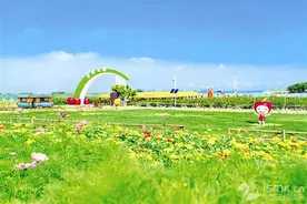 沿黄乡村新画卷图片