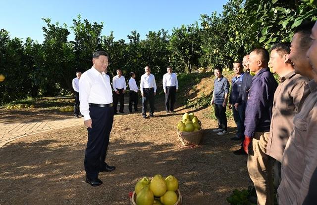 时政微观察丨广东之行，总书记强调两种精神