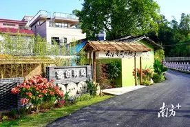 运营思路前置，佛冈高岗农房“爆改”成乡村咖啡馆！图片