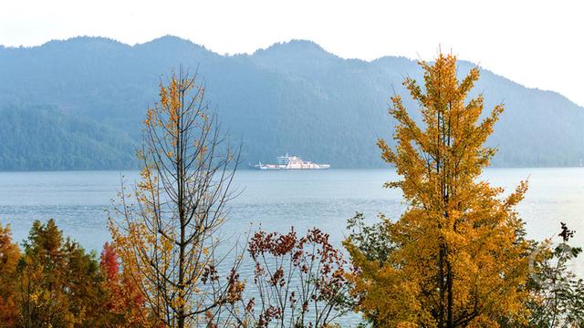 重庆忠县：长江彩林入画来