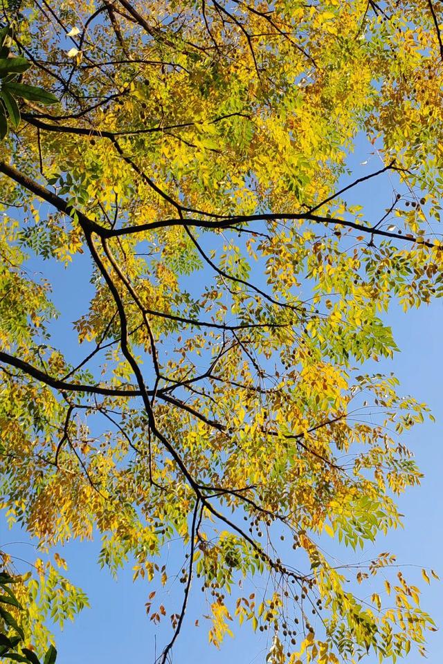 娄底：藏不住的诗意冬景，每帧都美到“心巴”上～