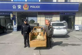 民警化身牧羊人，帮23只迷路小羊找到主人图片