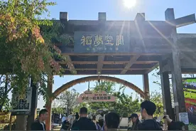 稻花香里说丰年｜沈阳稻梦空间：俯瞰稻菽千重浪图片