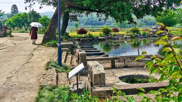 木瓜铺 | 黄亚明