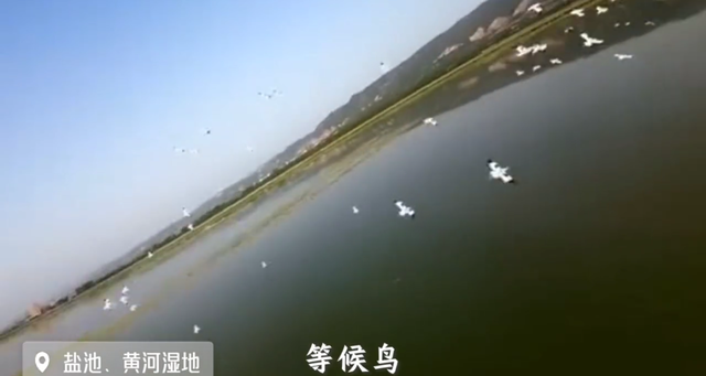 冬日的运城，藏着北方最诗意的浪漫