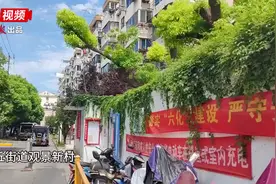 一碗绿豆汤仅卖4元，“宝藏”小摊卖了28年的绿豆汤受追捧图片