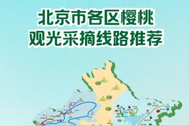 京城4000余个果园迎接采摘客图片