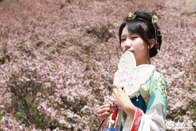 海棠映岱宗 汉服耀山巅 封禅12花神与百名汉服爱好者齐聚泰山巡游