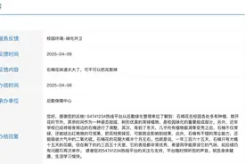 石楠花味道太大同学建议修剪，上海交大为何说“希望原谅它的气味”图片