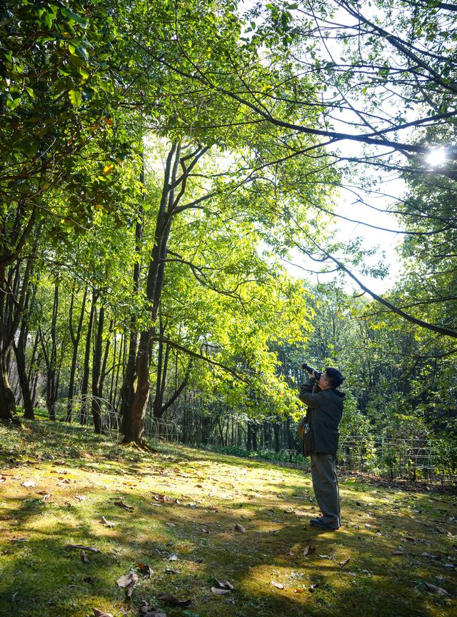云南昆明：冬日绿意暖