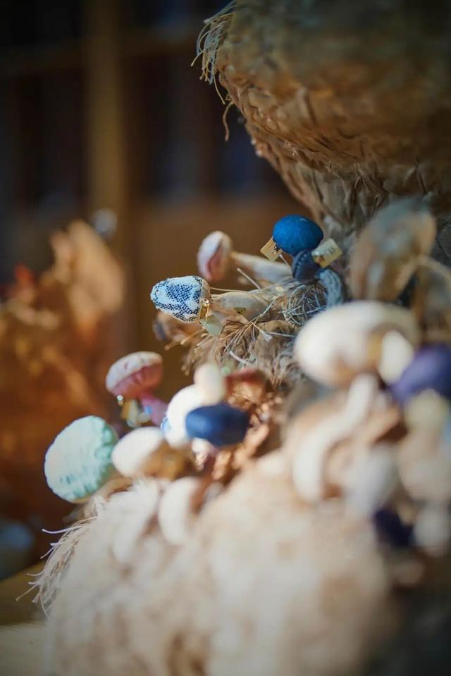 来东城这个胡同小院，邂逅蘑菇精灵的童话秘境——