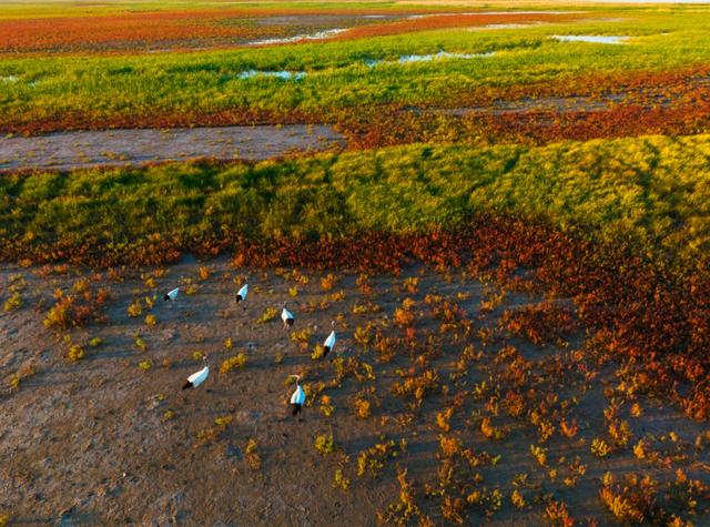 欢迎永州兄弟！盐城景区免费游
