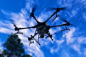 湖南隆回县利用无人机除治松毛虫害效果显著图片