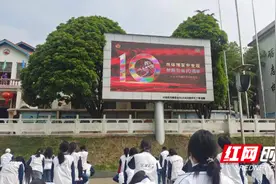 隆回二中开展“4.15”全民国家安全教育日系列活动图片