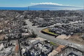 逾百人遇难、上千人失踪，美国媒体却在聚焦“救出一只小猫”？图片