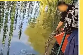 潮评丨 往西湖里投泥鳅，如此放生只会带来伤害图片